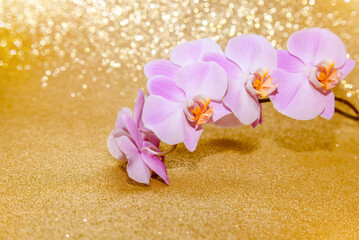 A branch of purple orchids on a shiny gold background.
