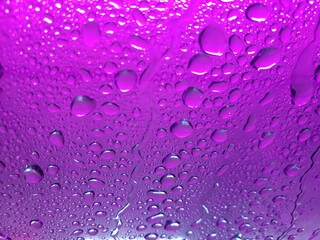 water drops on a purple background