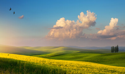 art Impressive spring landscape, view with cypresses and farm fields, Tuscany, Italy, countryside rolling hills