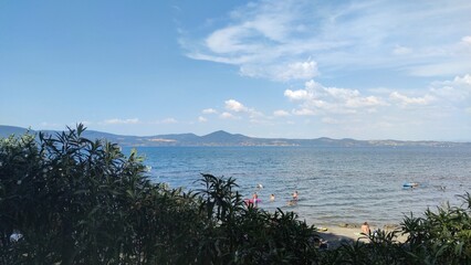 The beach near the forest lake