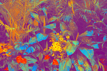 abstract group tropical leaves background ( monstera, coconut leaf, fern, palm leaf).