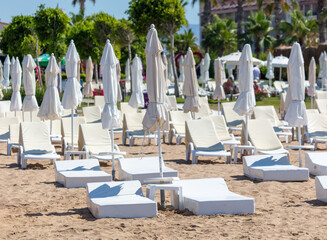 Sunbeds with sun loungers on the beach