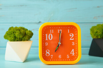 Alarm clock on blue background with green plant