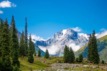 Beautiful nature of the rocky mountains of Switzerland. Snowy peaks, green landscape of nature. Coniferous trees among the rocks on a blue background