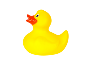 Yellow plastic rubber duck, png stock photo file cut out and isolated on a transparent background