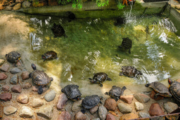 Zoo in Myslecinek quarter in Bydgoszcz, Kuyavian-Pomeranian Voivodeship, Poland.