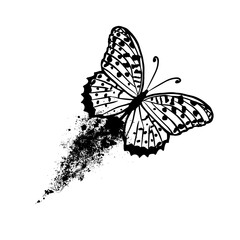 Graphic butterfly with blots. vector illustration.