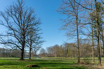 Trees along the large pond on Landgoed Enghuizen (Estate Enghuizen), Hummelo, The Netherlands