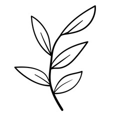 botanical line art floral leaves, plants. Hand drawn sketch branches