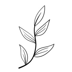 botanical line art floral leaves, plants. Hand drawn sketch branches