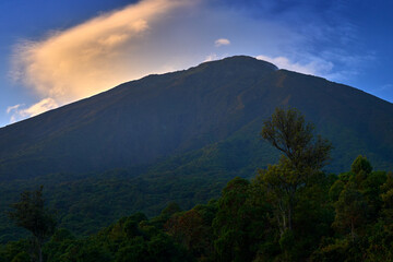 Mount Muhabura, inactie volcano in Uganda Congo border. Sunrise landscape in Africa. Tropic forest with hill. Mountain in Uganda