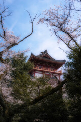 Fushimi Momoyama Castle with cherry blossoms in spring,Kyoto.