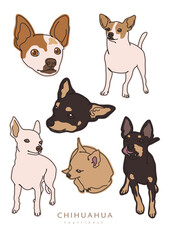 Chihuahua Illustration Different Poses and Close Up or Full Body 