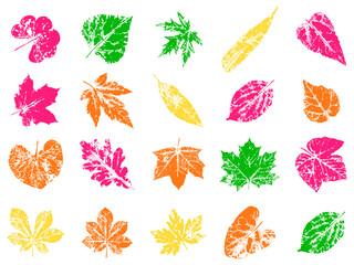 Leaf stamp. Imprint of autumn fallen leaves. Creative natural decor.