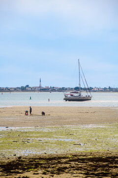 view on Ars-en-r&eacute; from la patache on the isle of ile-de-R&eacute; on lowtide with boats resting and people searching for shells on sunny day in summertime