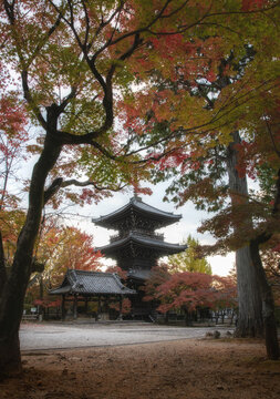 Japanese temples are very beautiful in autumn