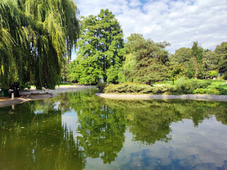 Fototapeta na wymiar green trees reflected in the calm lake