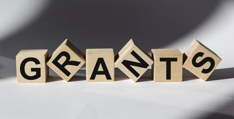 word GRANTS on building blocks concept and white background