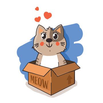 Cute picture of cat in a box with harts on white background