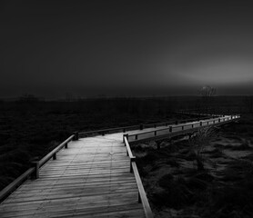 Wooden footpath in the park, grayscale