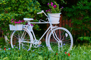A white bicycle decorates part of the park. Landscaping. Decorative flowers, grass and shrubs. Fence in blur in the background in shadow. Selective focus