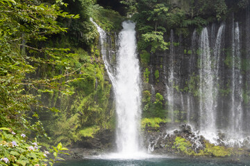 白糸の滝