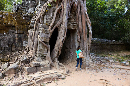 Distinctive strangler fig at Ta Som temple, Angkor, Siem Reap, Cambodia