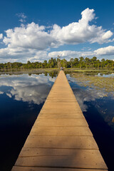 Footbridge on the swamp to Neak Pean temple, Angkor, Siem Reap, Cambodia