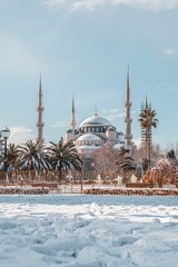 Vertical shot of a mosque during winter in Istanbul, Turkey