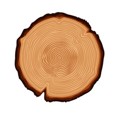 Isolated tree trunk ring, tree ring texture. Texture inside wood vector illustration