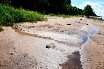 Vertical shot of siltation of the river bottom on the sandy beach with bushes on the background