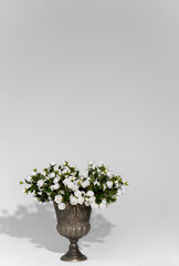 close-up shot of vase of white roses on white background