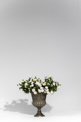 close-up shot of vase of white roses on white background