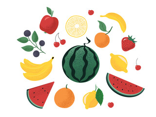 Set with different summer fruits and berries. Flat style vector illustration collection