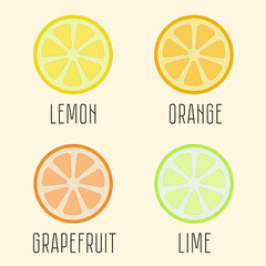 
Vector sketch fruitor lime lemon grapefruit and orange