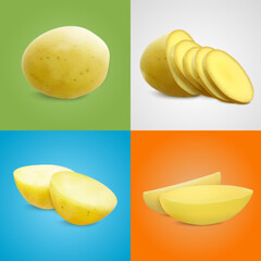 Potatoes Realistic Compositions Set