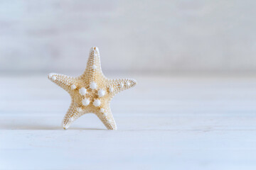 Starfish on white wooden background with copy space.