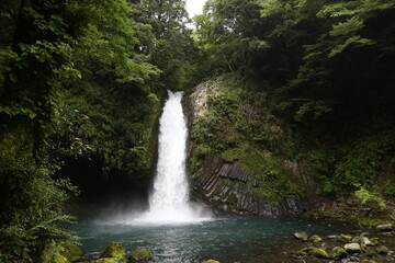 Fototapeta na wymiar 浄蓮の滝2