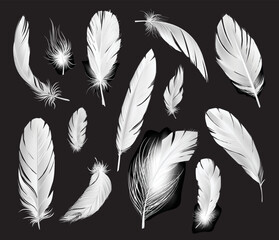 Obraz premium Realistic Pure Feathers Set