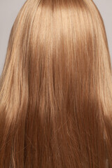 Fototapeta premium Healthy long hair, female head