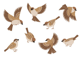 Flying Birds Cartoon Set
