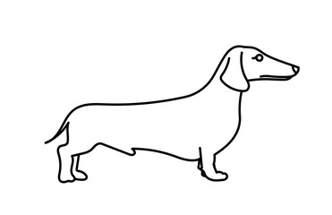 Dachshund dog breed. Vector contour illustration.