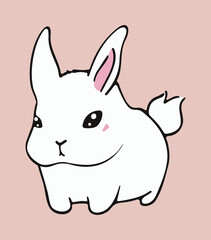 Cute white rabbit on pink background