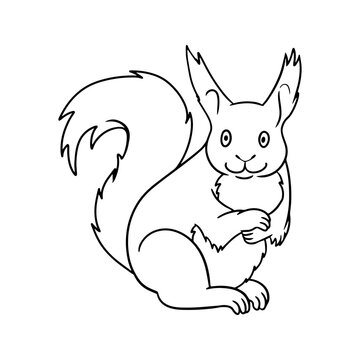 Monochrome picture, cute sitting squirrel, vector cartoon