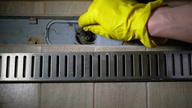 Removing a clogged shower drain, a hand in a yellow glove cleans the trash