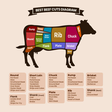 Beef Cuts Diagram With American Cuts Of Beef Meat Vector Illustration