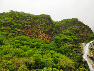 Salalah in Oman, season of Khareef A view of green nature