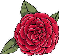 Vector illustration with ink colored rose