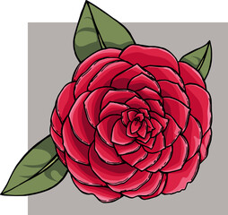 Vector  iluustration with colored ink rose