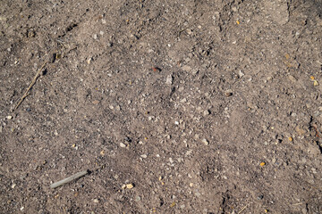 Depleted acidic soils without nutrients in agriculture lead to stunted growth and misery